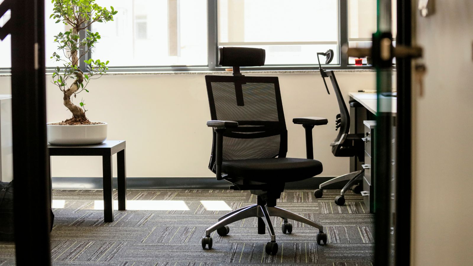 A mesh office chair in an office in the afternoon