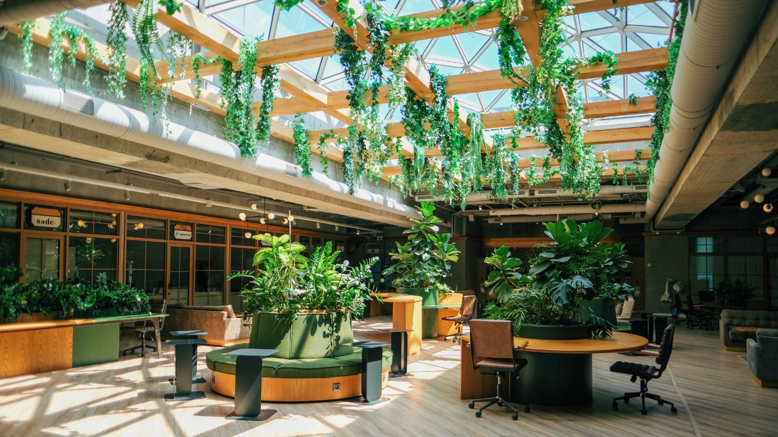 Biophilic office design with a green roof and natural light.